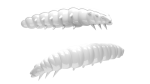 Libra Lures, LIBRA LURES LARVA 30 mm CHEESE 15 Stück ,Farbe 001 White